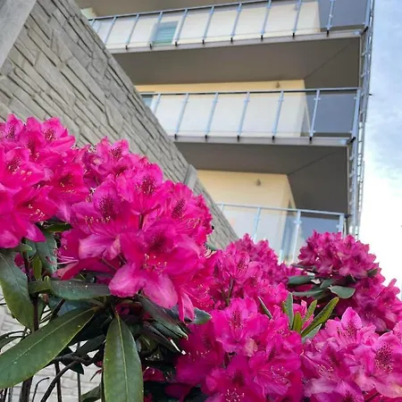 Olivkowe アパート