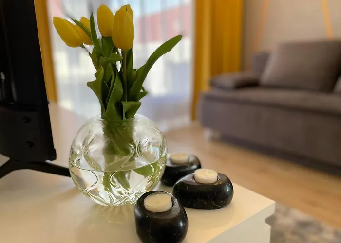 Olivkowe * 코워브제크